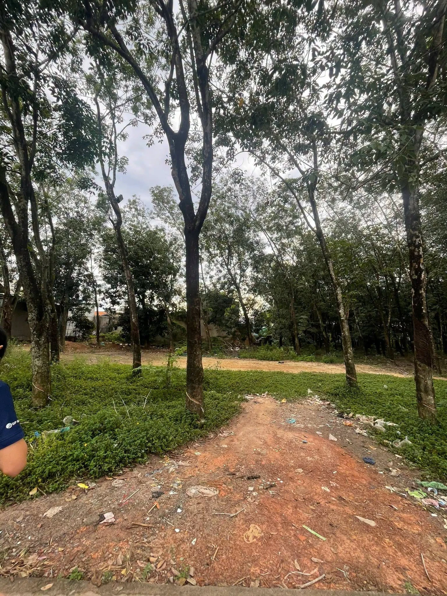 Bán đất 560m² chợ Phú Chánh A, Bình Dương, 5,6 tỷ - Ảnh 1