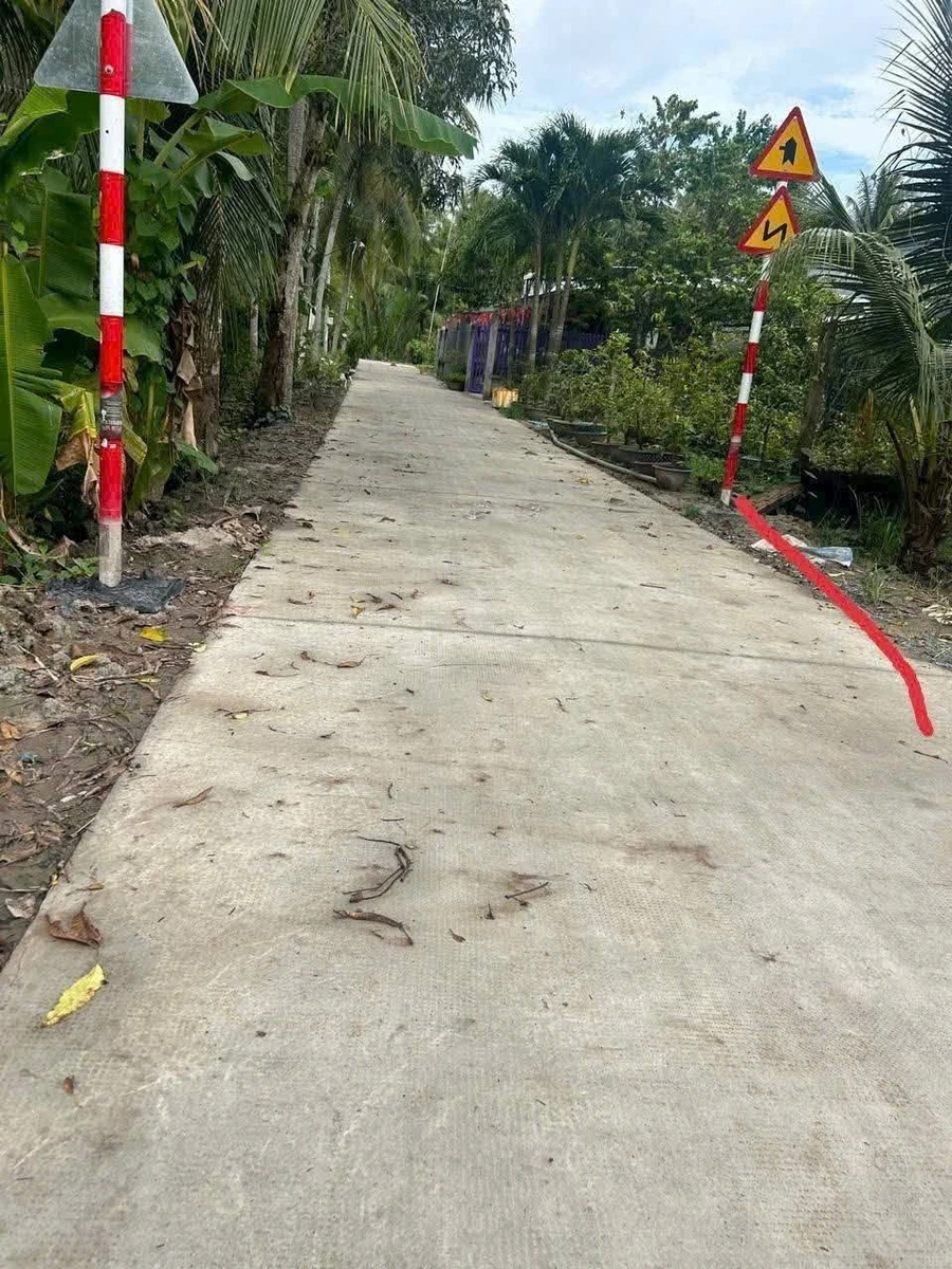 Bán đất nền biệt thự Sơn Đông 347m2 1 tỷ 200 triệu - Ảnh 1