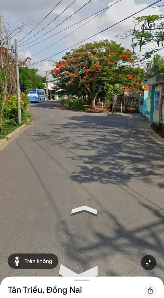 Bán lô đất 96m² Tân Triều Biên Hoà 2tỷ200 sổ hồng riêng - Ảnh 1