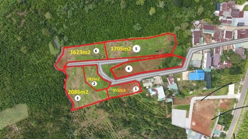 Bán đất 1ha Nguyễn Trãi, Bảo Lộc, giá 6,5 tỷ