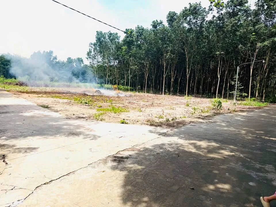 Bán đất 500m2 mặt tiền 21m Phường Minh Hưng - Ảnh thu nhỏ 2