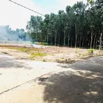 Bán đất 500m2 mặt tiền 21m Phường Minh Hưng - Ảnh thu nhỏ 2