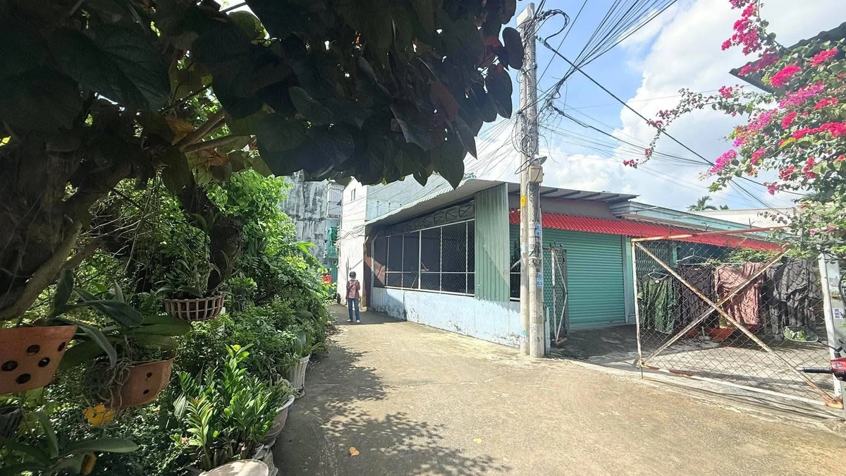 Bán nhà 2 mặt tiền 208m² Nguyễn Thị Ngâu Hóc Môn - Ảnh thu nhỏ 2