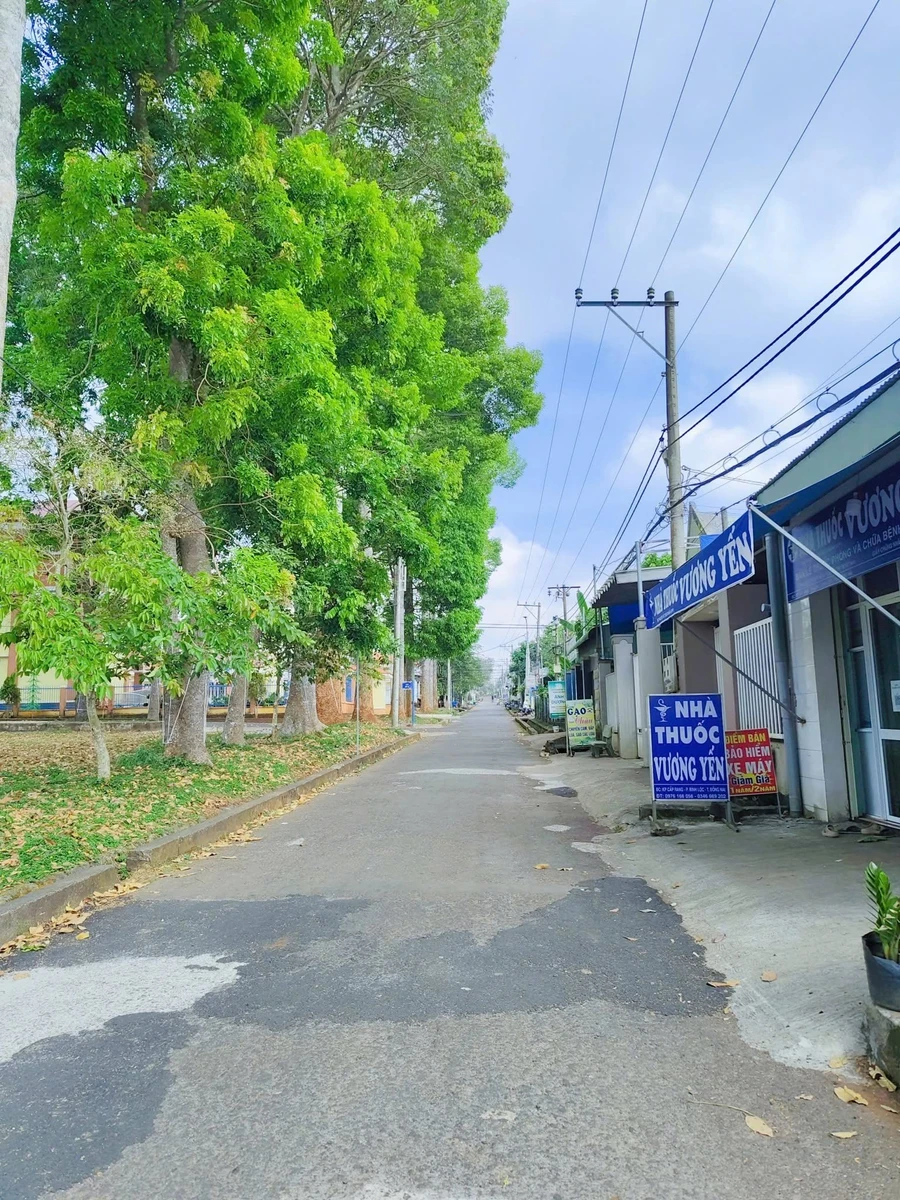 Bán đất vườn 1,1 sào Suối Tre Long Khánh 750 triệu - Ảnh thu nhỏ 2