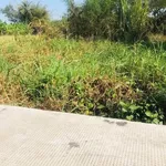 Bán đất 5x49m nền ô tô Bình Tâm 1 tỷ 250 triệu - Ảnh thu nhỏ 3