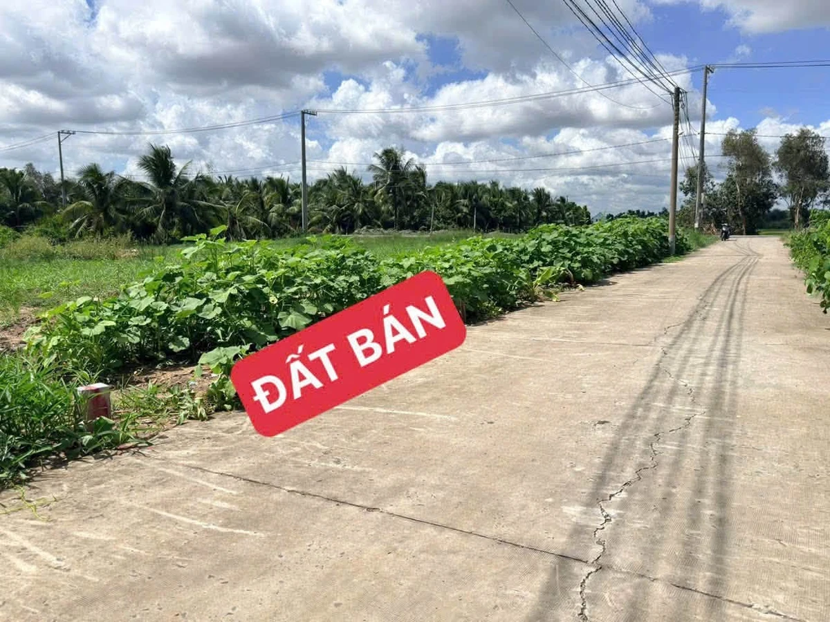 Bán đất nền 160m² Tân Bửu, Bến Lức, Long An 1,55 tỷ - Ảnh thu nhỏ 3