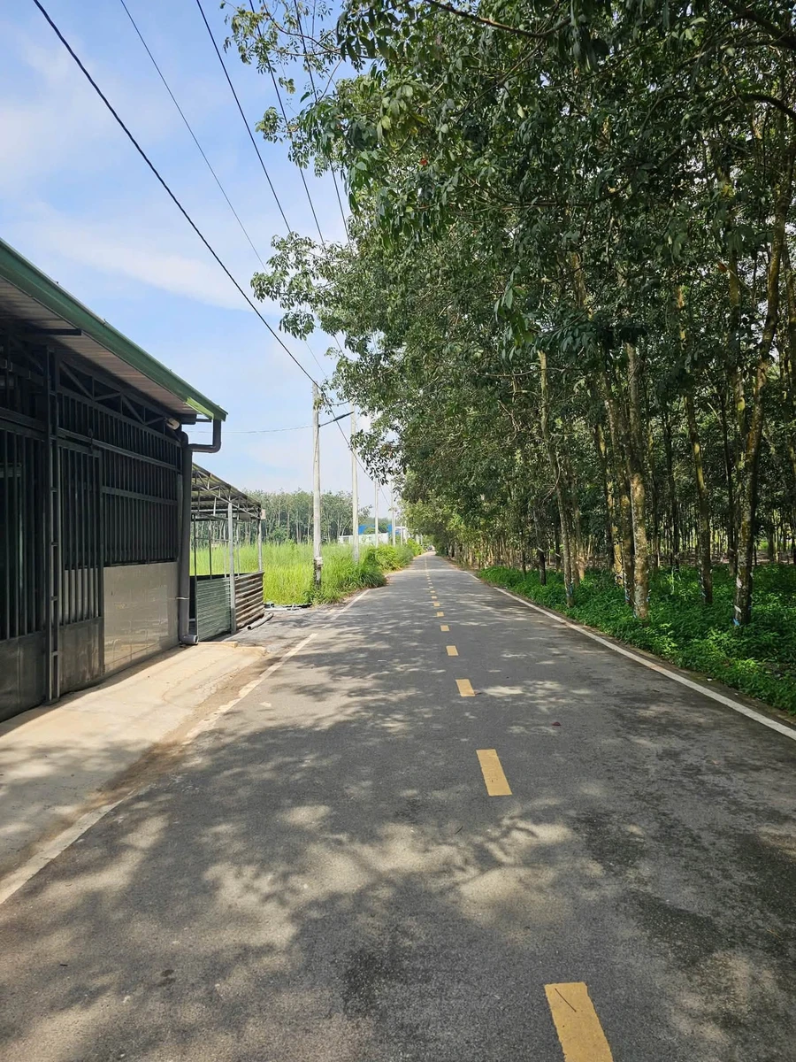 Bán đất Bình Mỹ 240 m² giá 1,6 tỷ - Ảnh thu nhỏ 2
