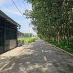 Bán đất Bình Mỹ 240 m² giá 1,6 tỷ - Ảnh thu nhỏ 2