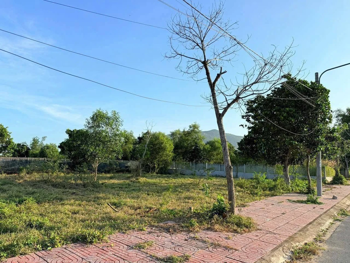 Đất bán 241,3m² Phước Hải Long Đất, view núi hồ - Ảnh thu nhỏ 3