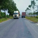 Bán đất 2.800m2 mặt đường Nhựa Gia, Long An, 16 tỷ - Ảnh thu nhỏ 1