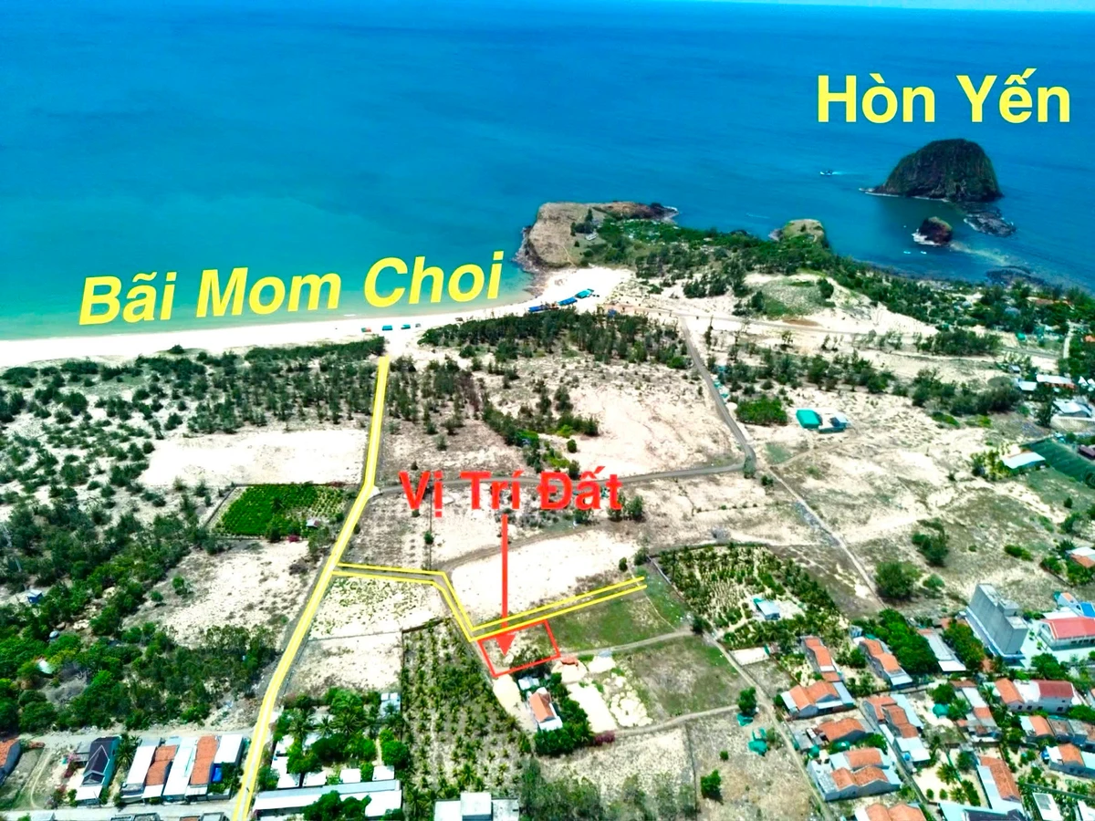 Bán đất view biển 100m² Tuy An Phú Yên - Ảnh 1