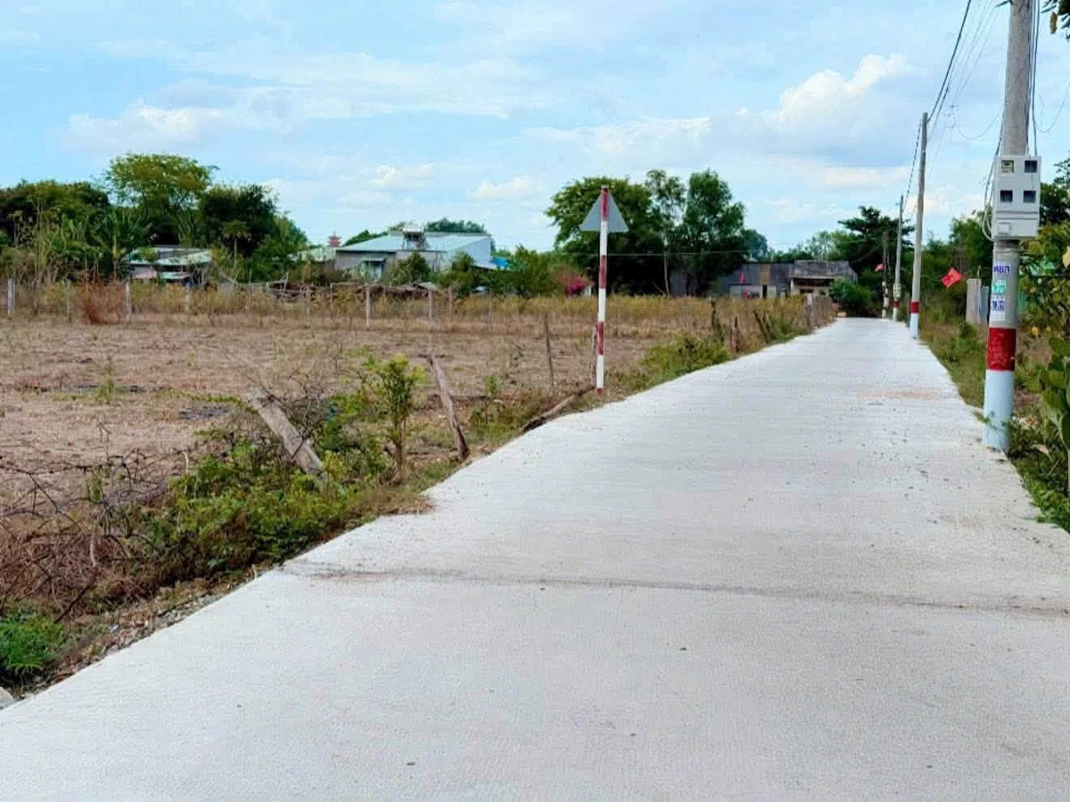 Bán đất 1.080m² mặt bê tông tại Châu Pha 1.65 tỷ - Ảnh 1