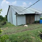 Bán 2,5 hectare đất rẫy cà phê Đắk Mil 1 tỷ 799 triệu - Ảnh thu nhỏ 3