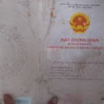 Bán loại BĐS khác tại Phường Xuân Phú, Sông Cầu, Phú Yên, giá siêu hời 1,28 tỷ, 30000 m2 - Ảnh thu nhỏ 10