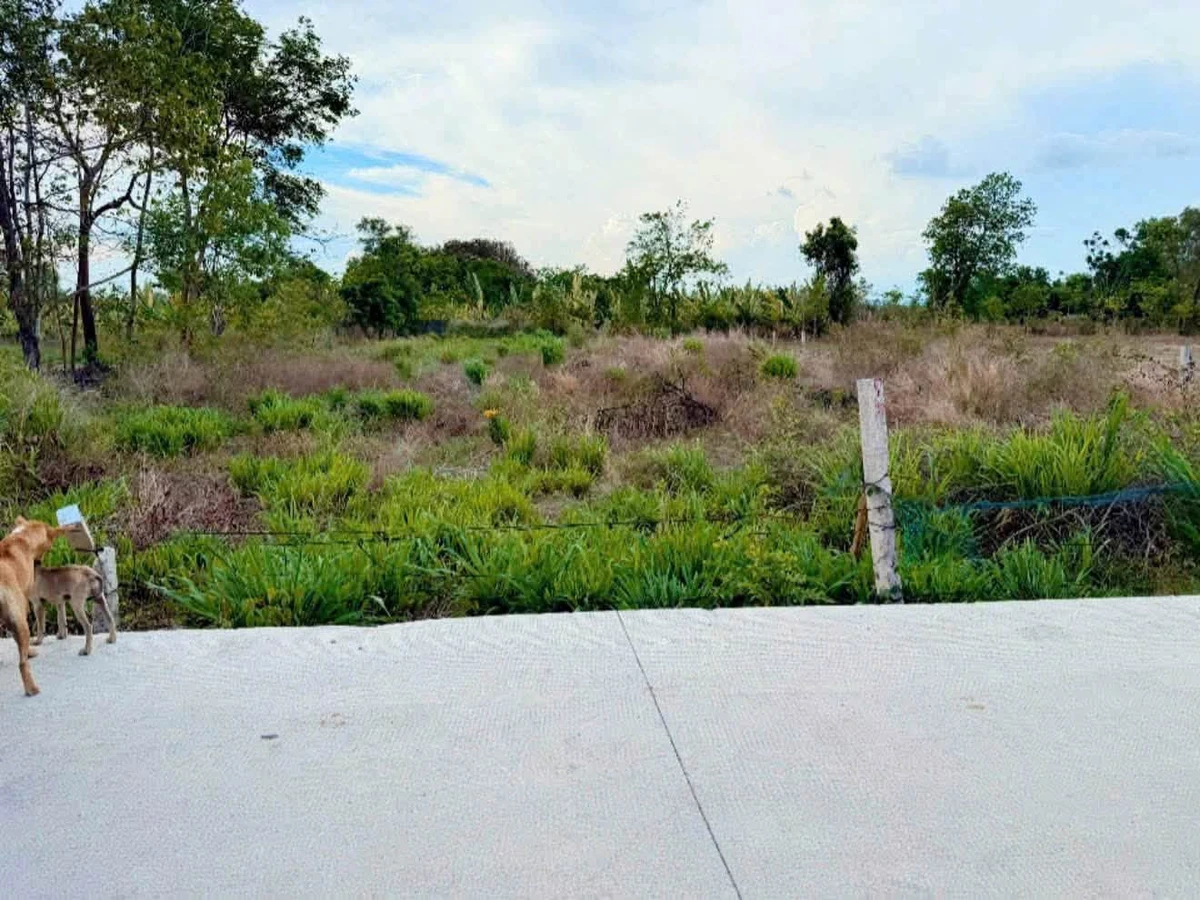 Bán đất 1.080m² mặt bê tông tại Châu Pha 1.65 tỷ - Ảnh thu nhỏ 2