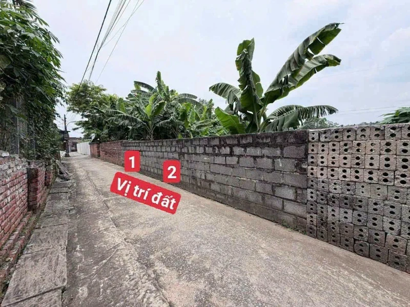 Bán đất nền 80m² Trung Hòa, Phú Nghĩa, Hà Nội, hơn 1 tỷ