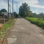 Bán nền 1500m2 Thạnh Lộc, Cần Thơ - Ảnh thu nhỏ 3