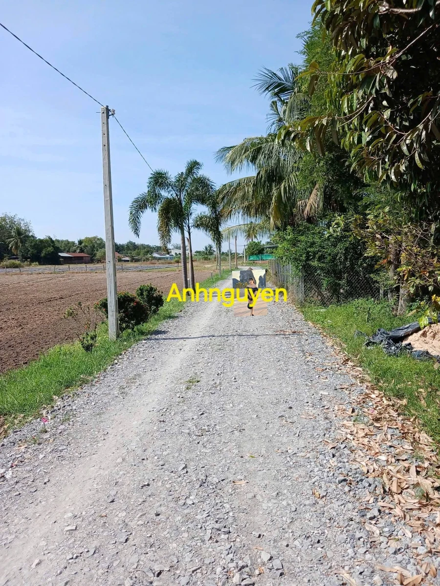 Bán đất Châu Thành Tây Ninh 10×107m, 350 triệu - Ảnh thu nhỏ 3
