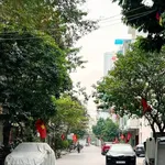 Bán nhà liền kề 44m2 5 tầng Ngô Thì Nhậm Hà Đông 13 tỷ - Ảnh thu nhỏ 1