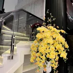 Bán nhà phố 50m² 4 tầng phố Hồ Sen Hải Phòng - Ảnh thu nhỏ 3