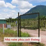 Bán đất vườn 1000m² view núi Tây Ninh – 359 triệu - Ảnh thu nhỏ 2