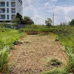 Bán lô đất Đảo Kim Cương Q9, 280m², 3,35 tỷ - Ảnh thu nhỏ 2