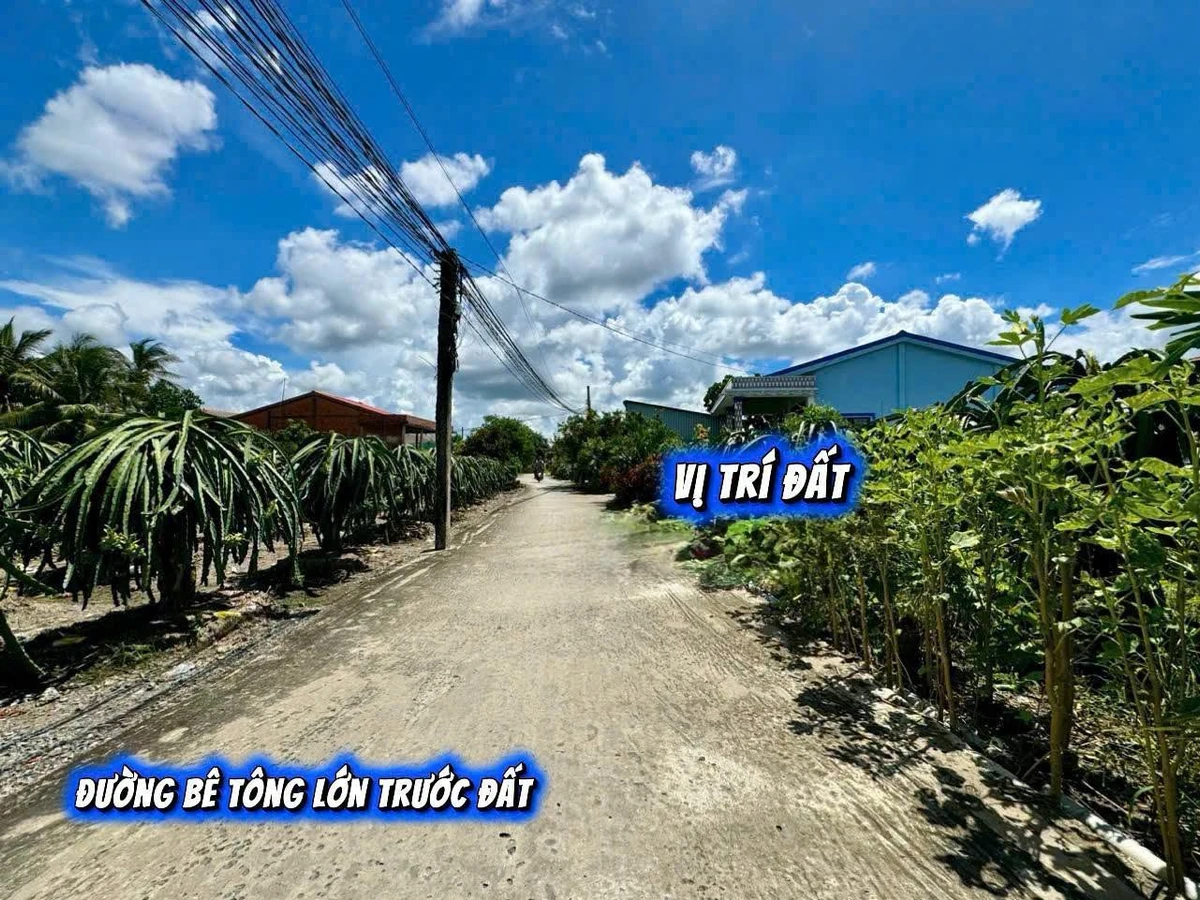 Bán đất full thổ cư Thanh Phú Long Long An 124m², 399 triệu - Ảnh thu nhỏ 4