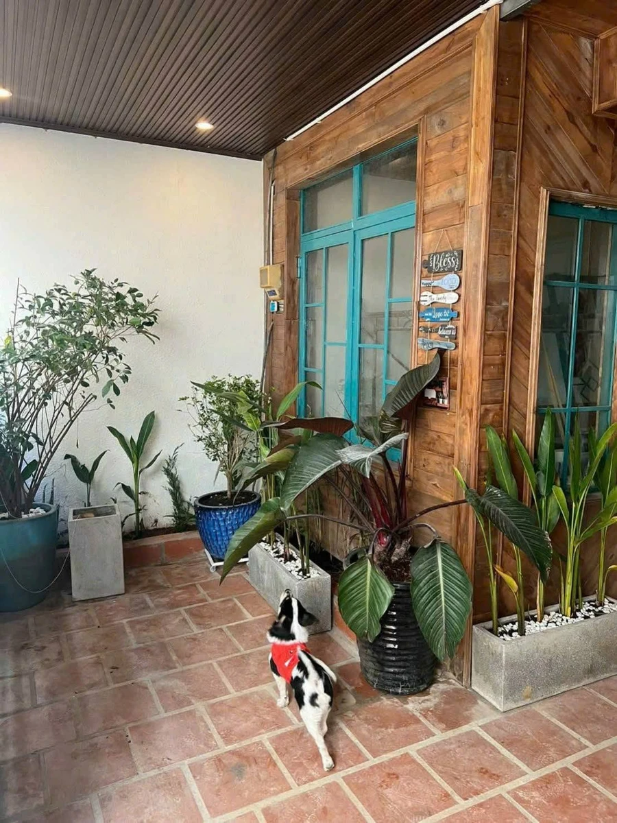 Bán nhà hẻm Nguyễn Thị Nghĩa, Đà Lạt, 72m², 3 PN, 3,95 tỷ - Ảnh thu nhỏ 2