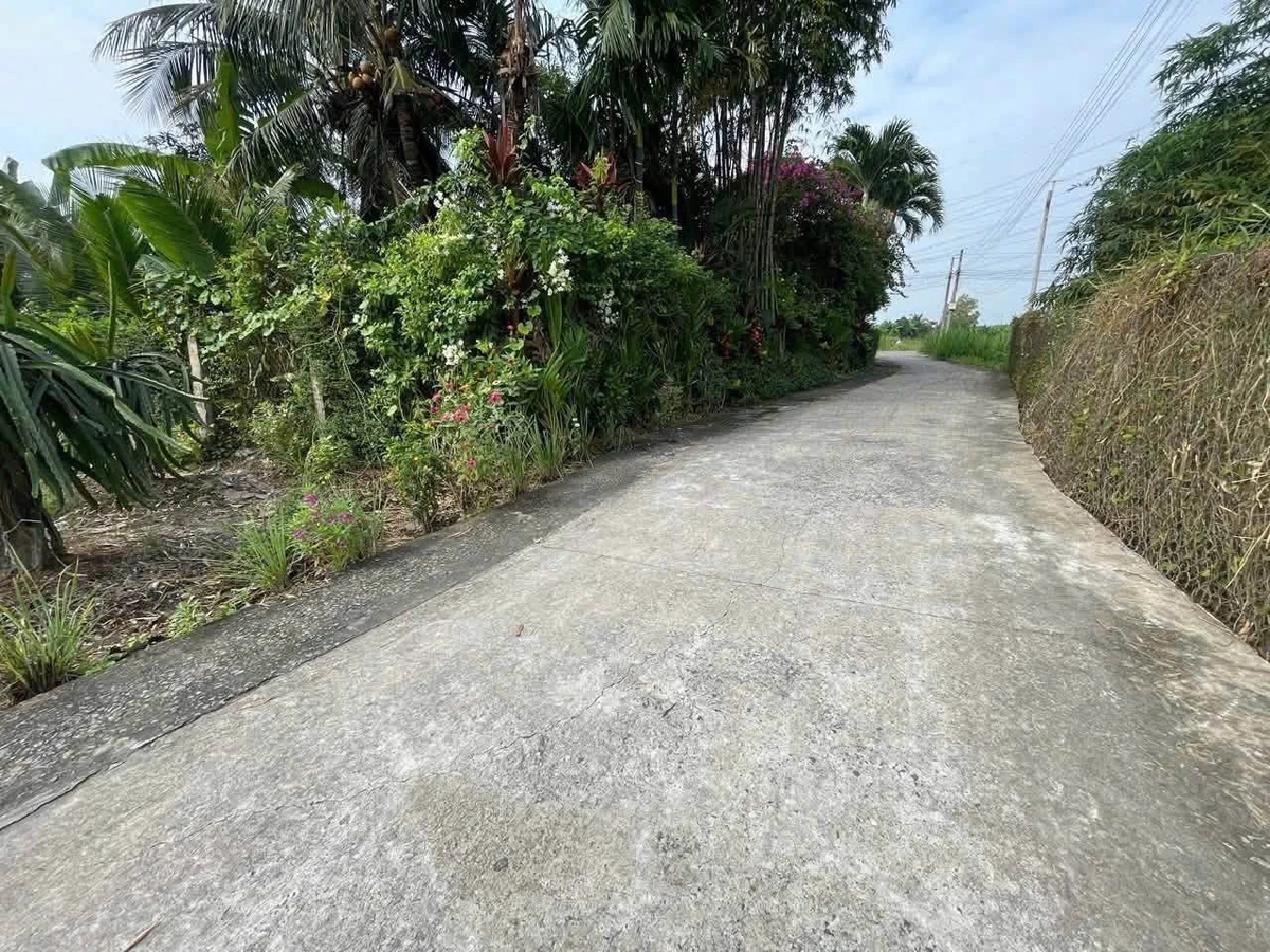 Bán đất thổ cư 5x45m sổ hồng riêng giá 599 triệu tại xã Vĩnh Công, Tây Ninh - Ảnh thu nhỏ 2