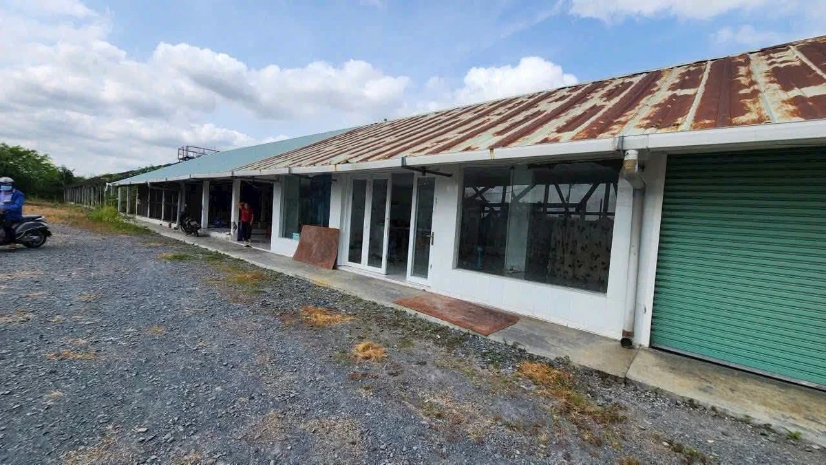 Bán đất 2.800m2 mặt đường Nhựa Gia, Long An, 16 tỷ - Ảnh thu nhỏ 5