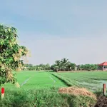 Bán gấp đất mặt tiền N2 5x49m full thổ, 1,8 tỷ, Hòa Khánh Đông, Đức Hòa - Ảnh thu nhỏ 3