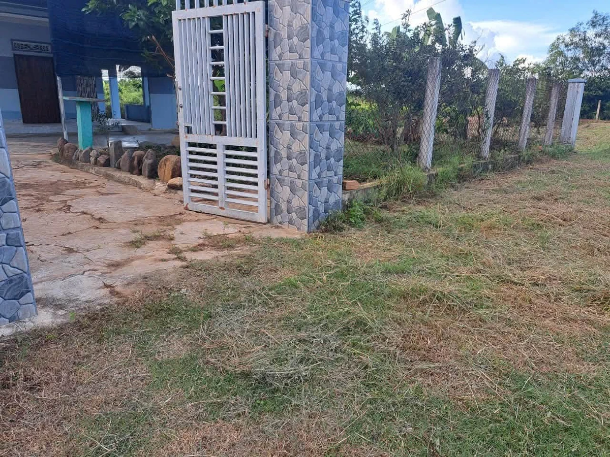 Bán đất 1800m² tặng nhà vườn 120m² 3 phòng ngủ Tân Bình - Ảnh thu nhỏ 2
