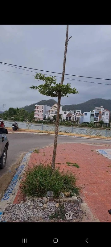 Đất bán 40m² Đồng Gia Viên Hà Thanh 2 Hóc Môn