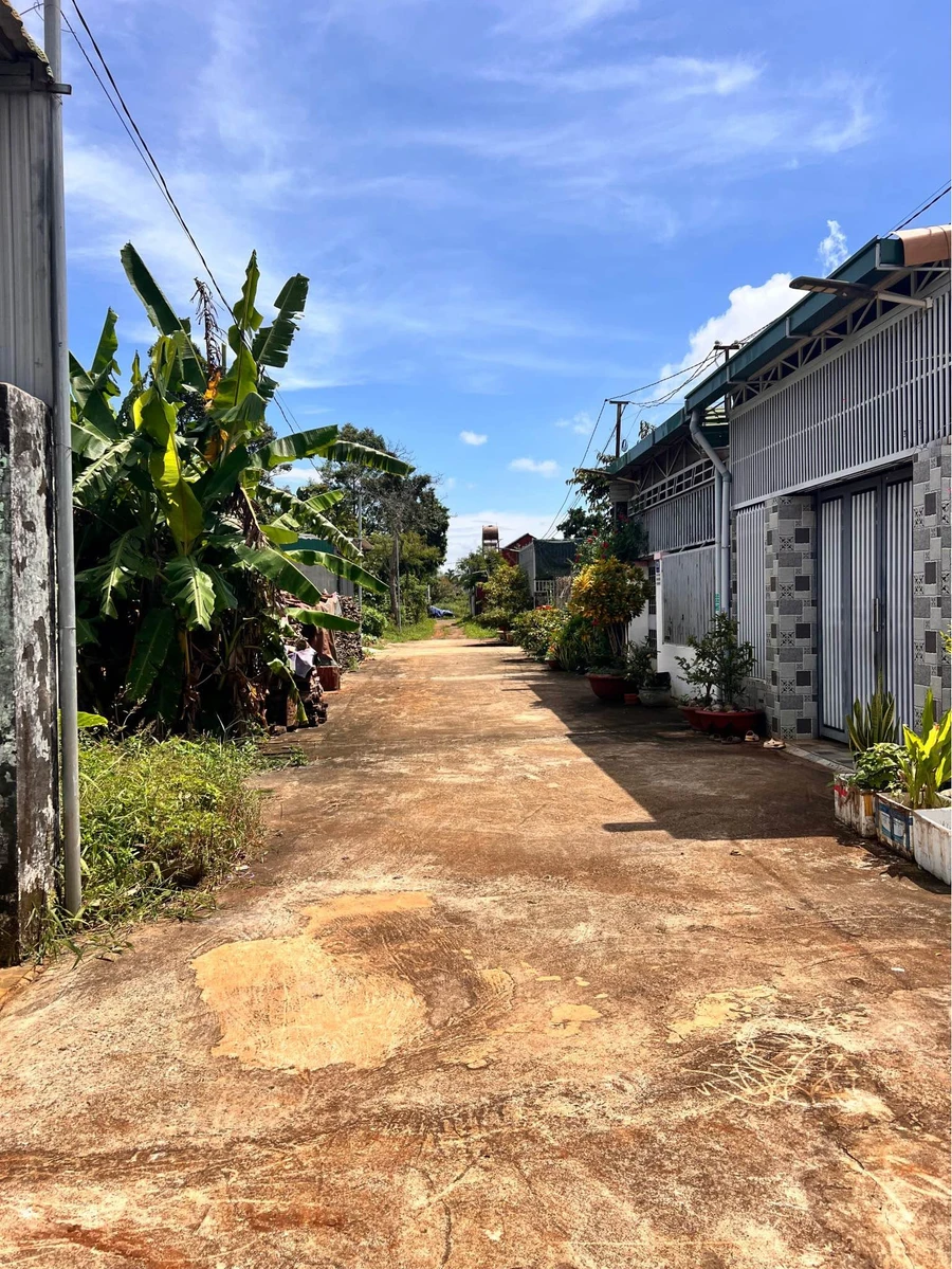 Bán đất hẻm Tỉnh Lộ 8 154m² Bình Chánh - Ảnh 1