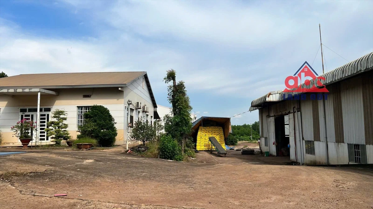 Chuyển nhượng nhà máy sản xuất phân bón 8.800 m² Vĩnh Cửu - Ảnh thu nhỏ 5
