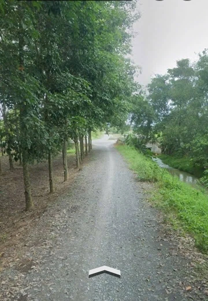Bán đất 2 mặt tiền 2255m2 đường Bà Thiên, xã Nhuận Đức, Củ Chi, giá 7,5 tỷ - Ảnh thu nhỏ 5