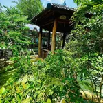 Bán villa 3 phòng ngủ 180m² Phan Huy Chú Buôn Ma Thuột 8,9 tỷ - Ảnh thu nhỏ 2