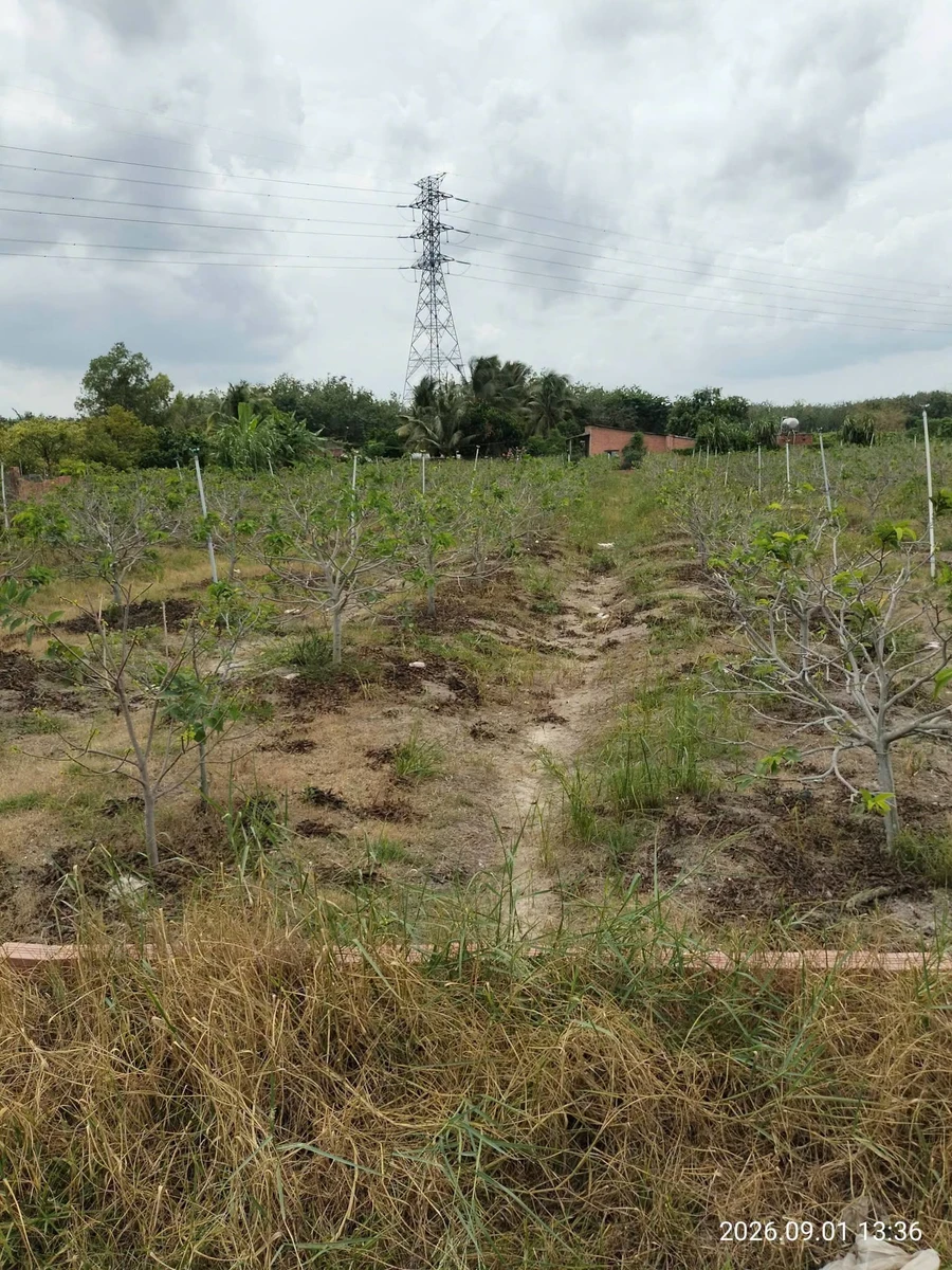 Bán đất 150m² Tây Ninh, view núi, 250 triệu - Ảnh 1