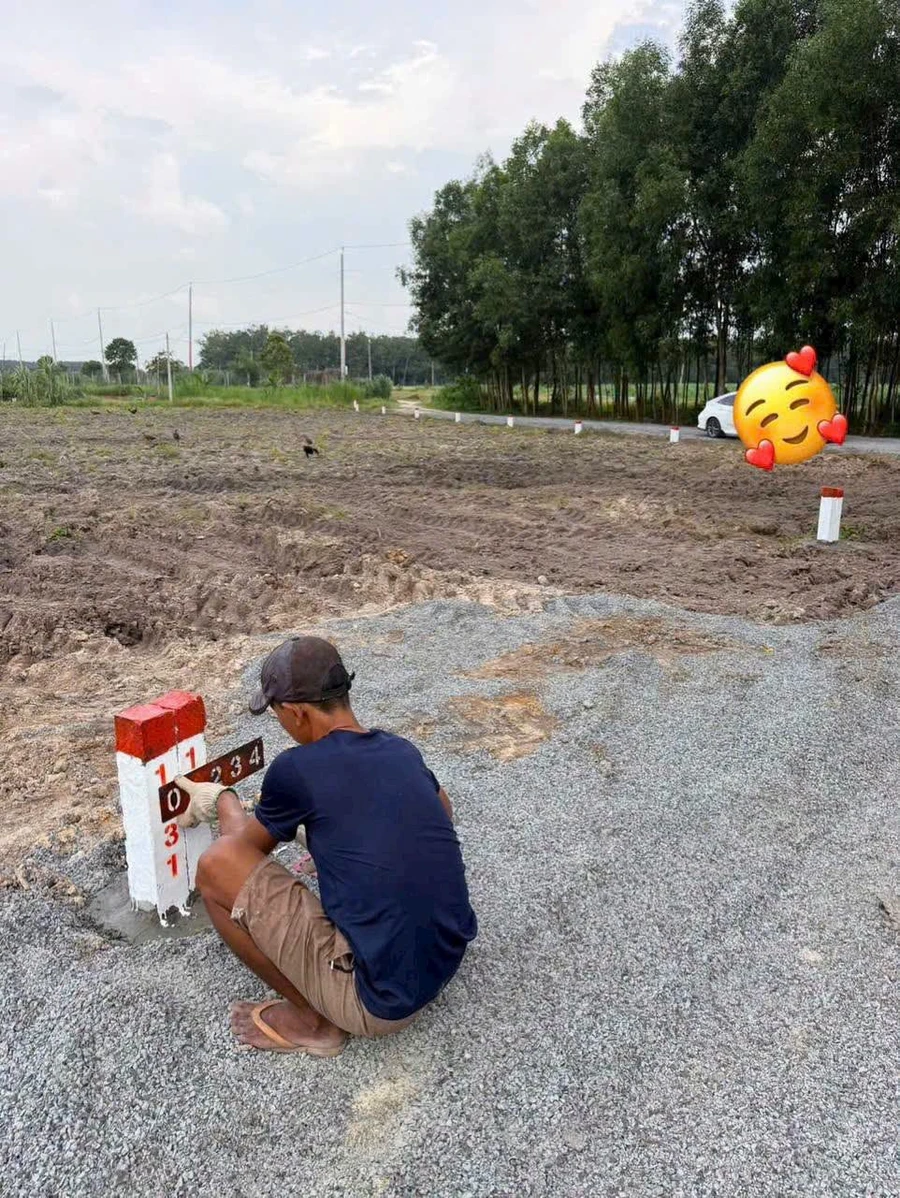 Bán đất vườn 574m2 giá 280 triệu Phan Tây Ninh - Ảnh thu nhỏ 4