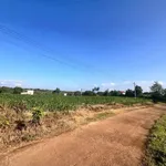 Bán đất 228m² Phú Xuân Krông Năng Đắk Lắk 239 triệu - Ảnh thu nhỏ 1