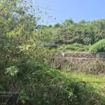 Bán đất mặt tiền Lương Văn Can - sẵn thổ cư - phường Lộc Sơn (cũ) Bảo Lộc giá 1 tỷ 750 - Ảnh thu nhỏ 6