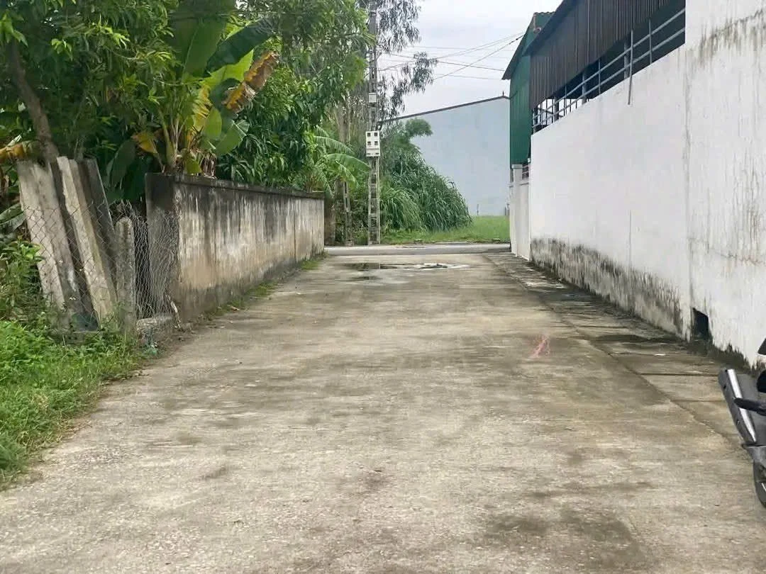 Bán lô đất 76,7m² Xóm 11 Nghi Kim gần chợ, trường học - Ảnh thu nhỏ 2