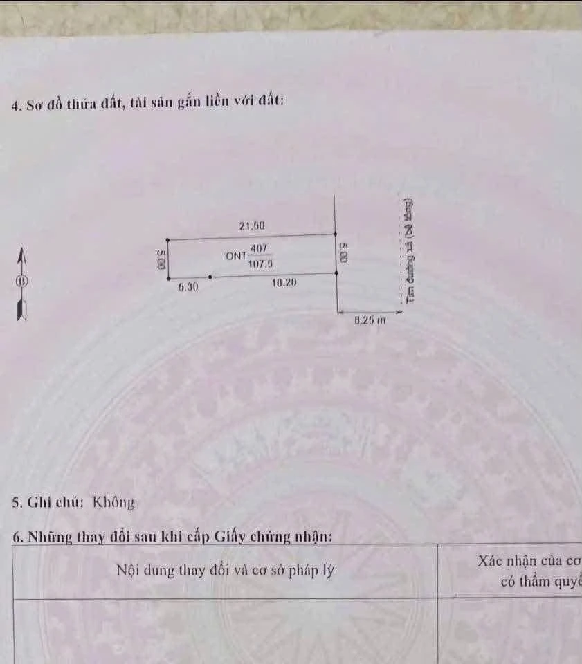 Bán lô đất mặt tiền 105m2 Hồng Đức Ninh Giang 1,3 tỷ - Ảnh 1