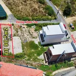 Bán đất 98,5m² full thổ cư gần Chợ Đông Dinh 1 tỷ 580 triệu - Ảnh thu nhỏ 1