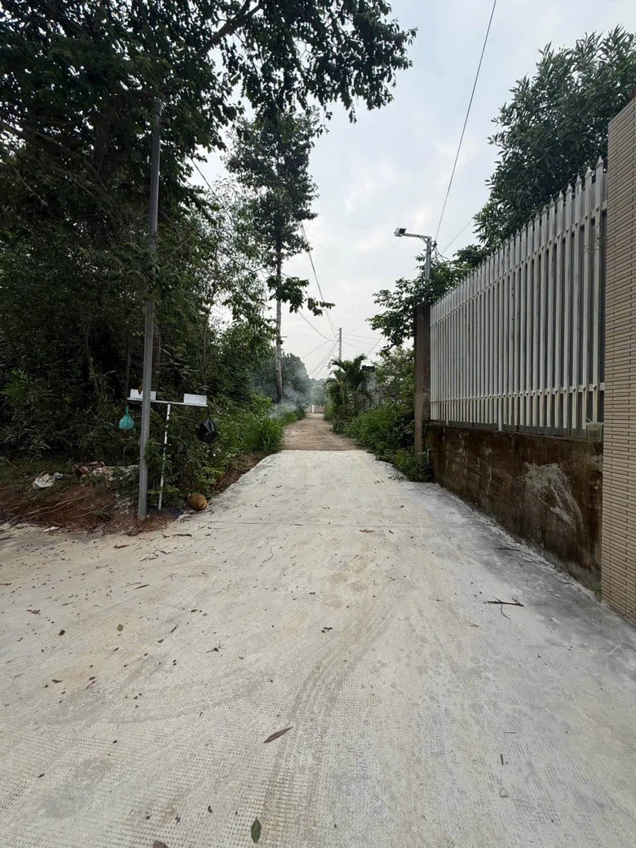 Bán đất Tân Triều 90m², 850 triệu - Ảnh thu nhỏ 4