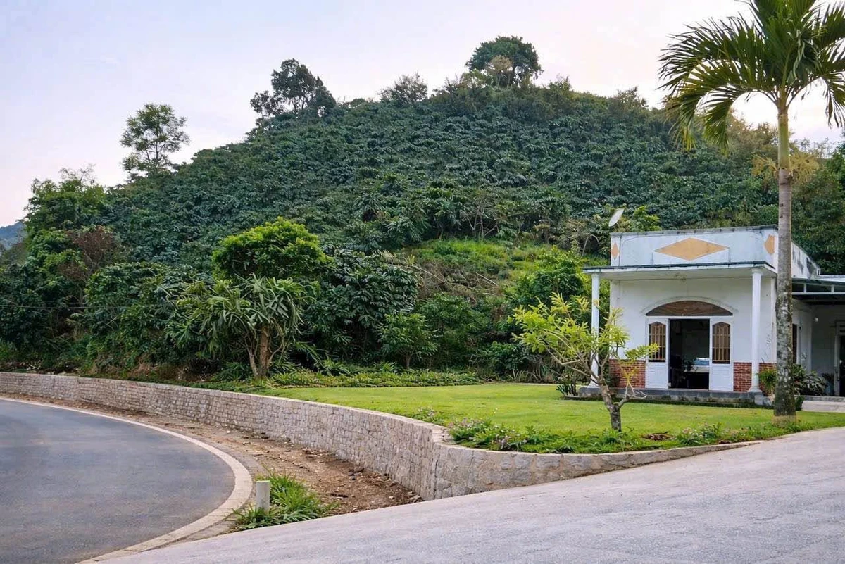Bán đất Lộc Thành 286m², mặt tiền 150m, 5 tỷ 7 - Ảnh thu nhỏ 4