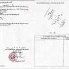 Bán đất đấu giá, sổ đỏ chính chủ DT gần 250m2 - Ảnh thu nhỏ 7