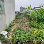 Bán đất ngõ phố Mai Độ, 79m² mặt 4m, Hải Dương 1.5 tỷ - Ảnh thu nhỏ 3