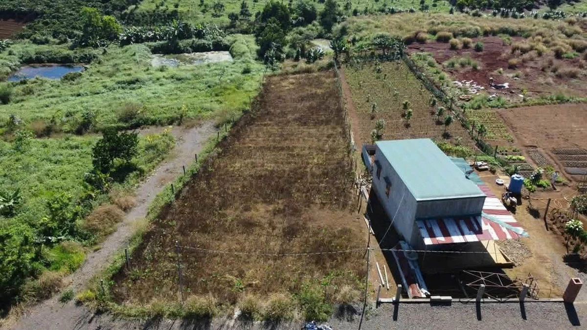Bán đất 200m2, 2 mặt tiền, gần Đambri, Lâm Đồng - Ảnh thu nhỏ 2