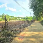 Bán 1.000m2 đất ngang 12m giá hơn 100 triệu nguyên lô tại Hớn Quản - Ảnh thu nhỏ 1